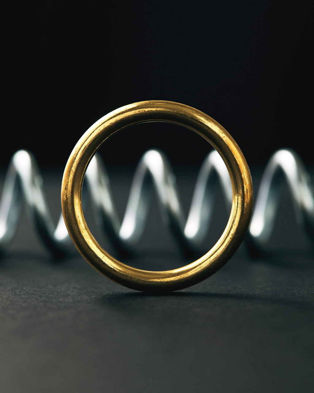Ring & Spring Puzzle