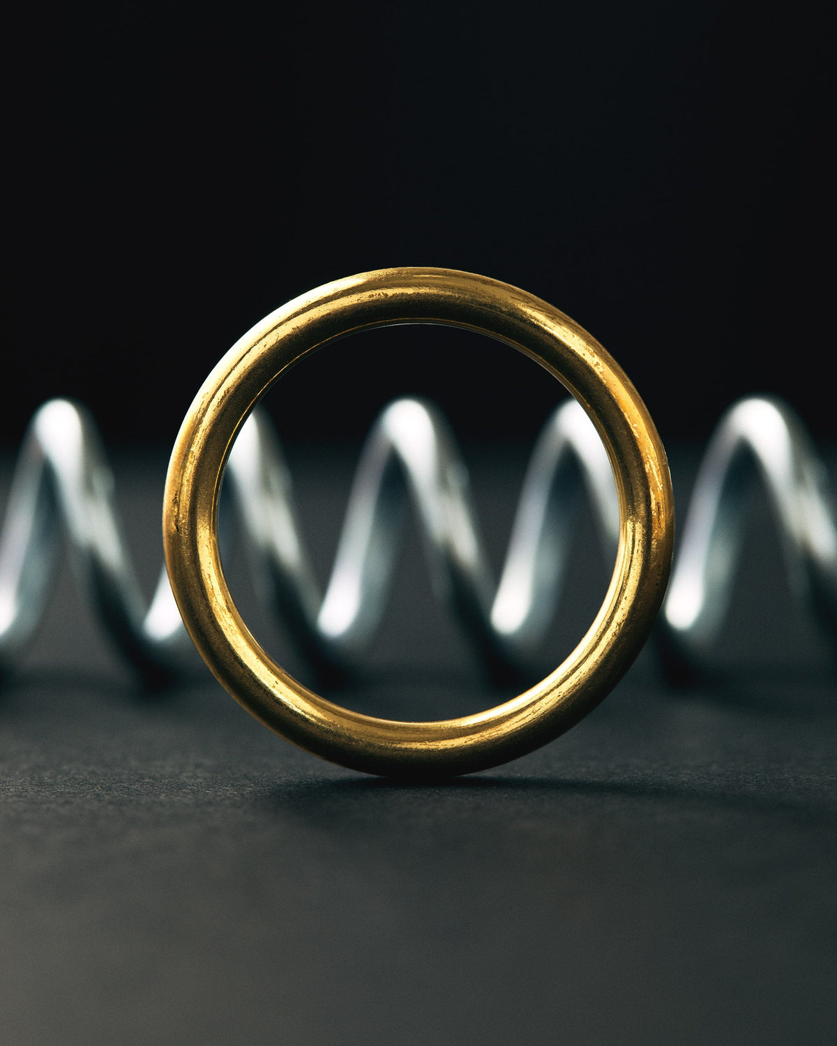 Ring & Spring Puzzle