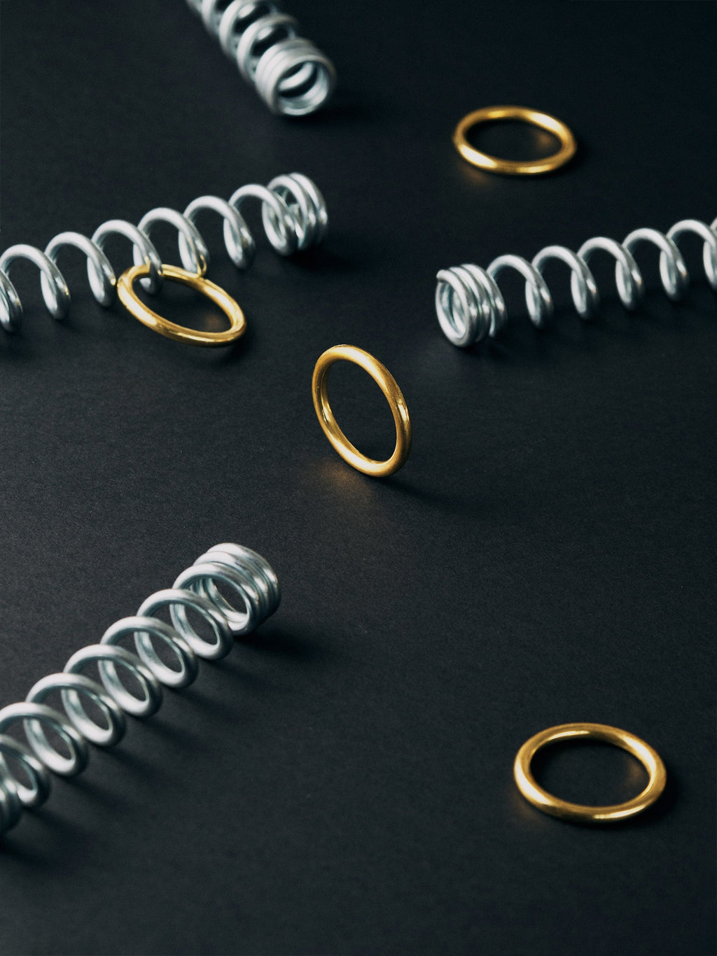 Ring & Spring Puzzle