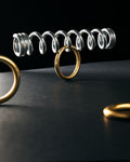 Ring & Spring Puzzle